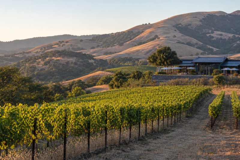 Rogue Valley vineyard near Ashland