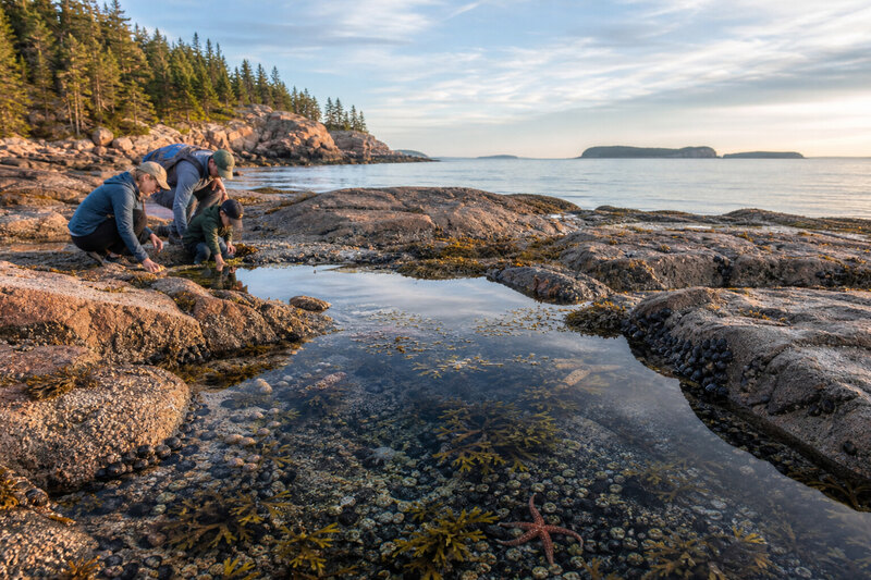 Tidepooling on the rocky coast of Acadia National Park