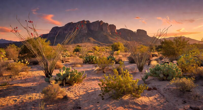 Chihuahuan Desert sunrise