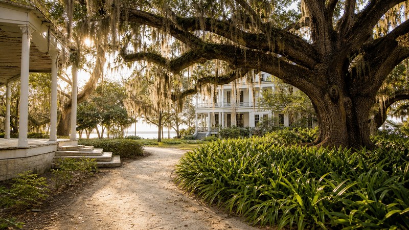 Live oaks and historic Gulf Coast grounds in Biloxi