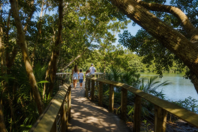 Boardwalk through coastal hammock near Gumbo Limbo in Boca Raton