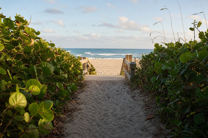 Sea grape path leading to a Boca Raton beach