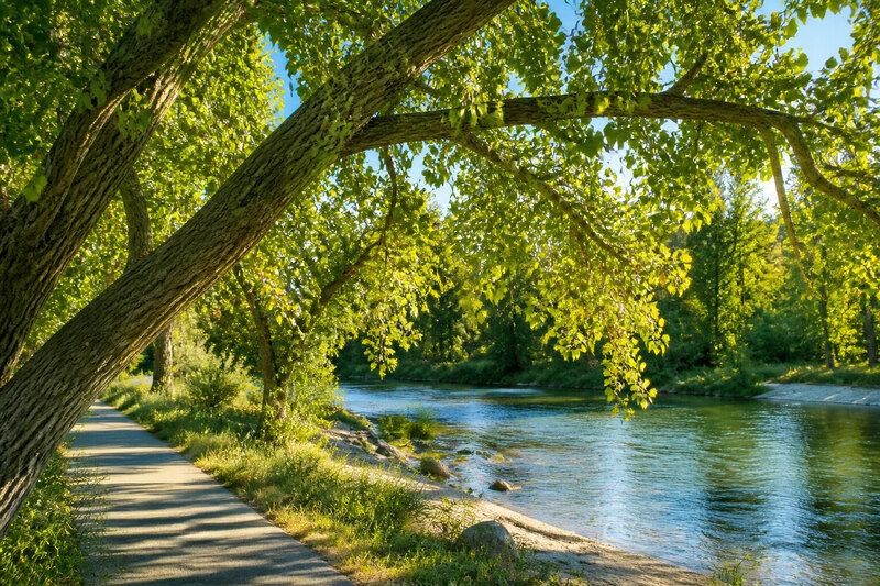 Cottonwood leaves and river detail along the Boise Greenbelt