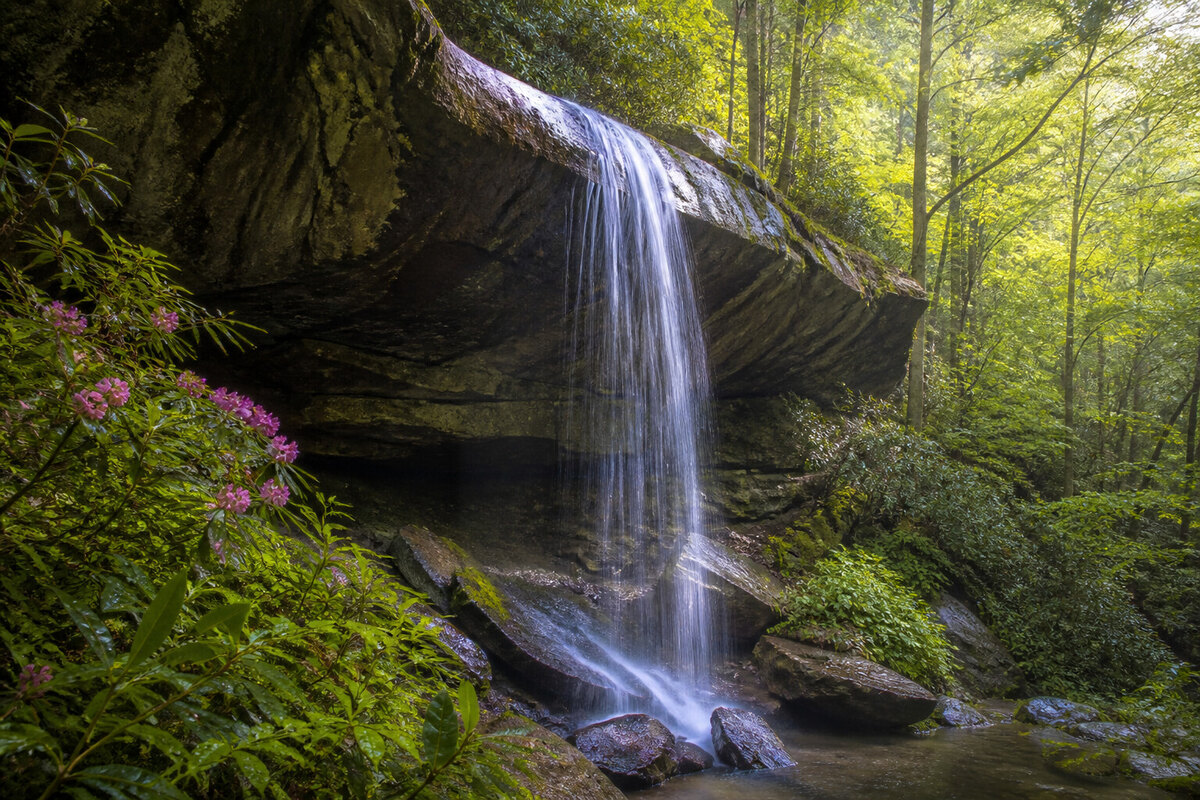 Moore Cove Falls dropping over a rock ledge in Pisgah National Forest