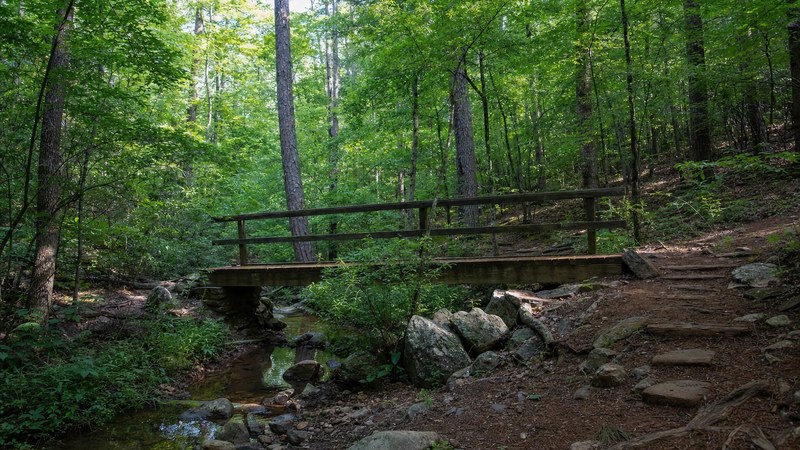 A shaded forest footbridge in Beavers Bend State Park