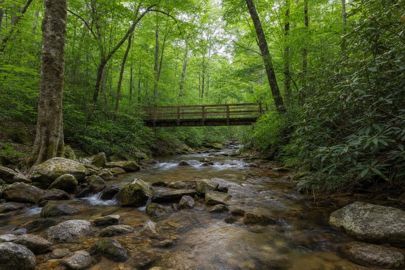 Rocky stream and footbridge in a Southern Appalachian forest