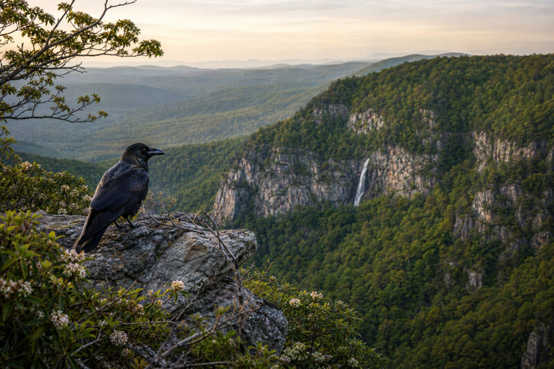 Raven Cliff Falls trail near Caesars Head State Park