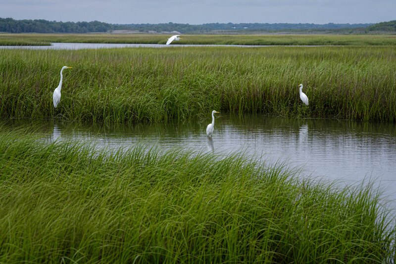 Leave room for migration and marsh weather