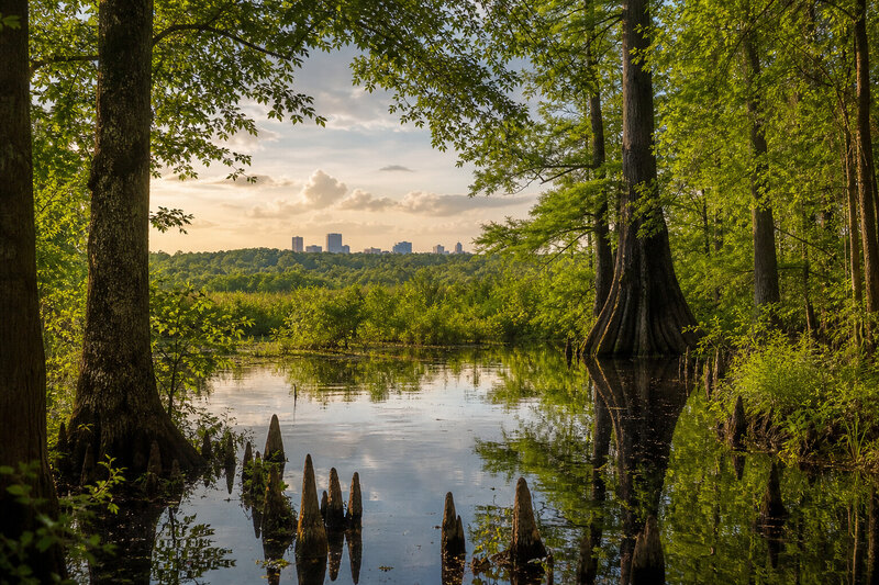 Columbia skyline near Congaree National Park