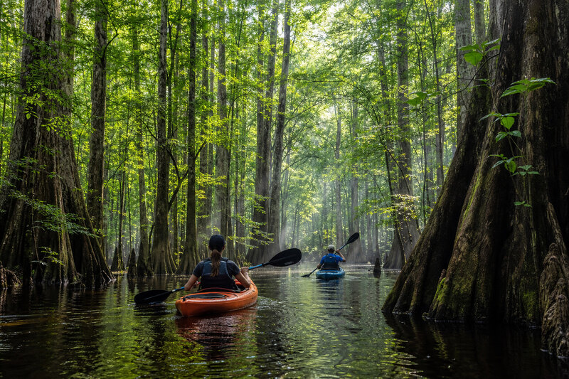 Kayakers on Cedar Creek in Congaree National Park