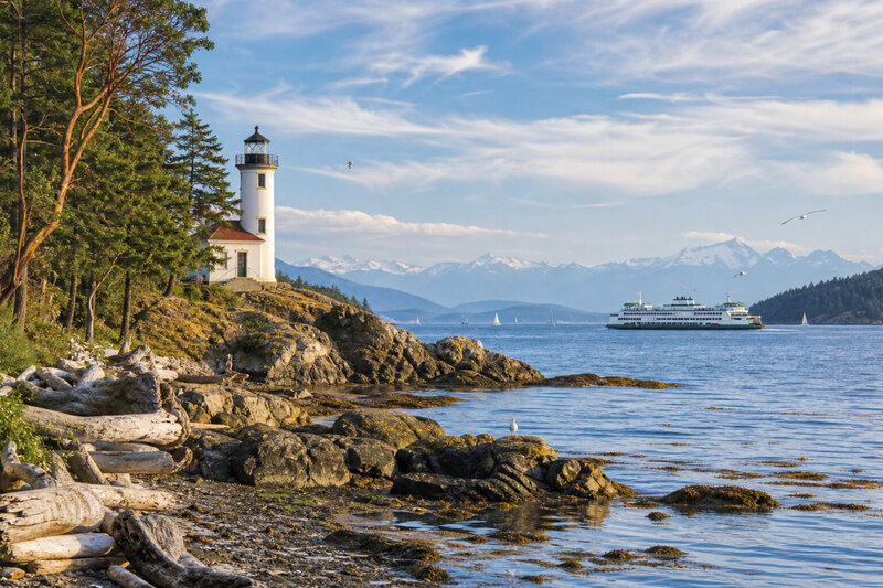 Rocky shoreline at a San Juan Island whale-watching viewpoint