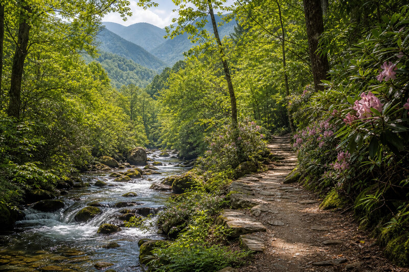Creek trail in Great Smoky Mountains National Park near Gatlinburg