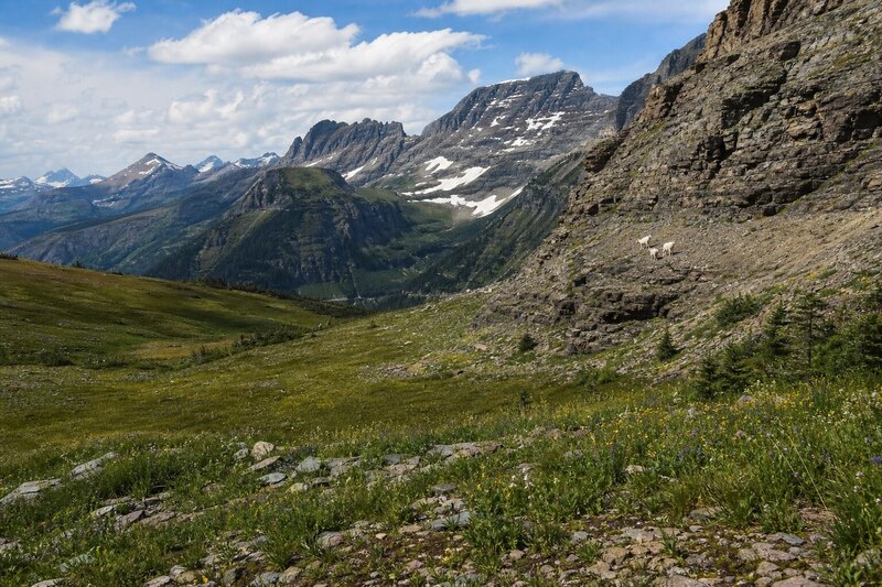 First-timer itinerary in Glacier National Park