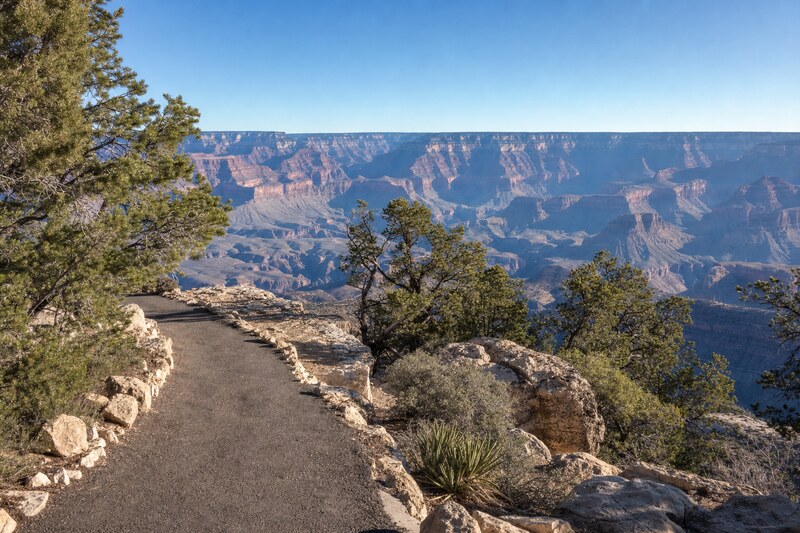 A paved South Rim path through piñon and juniper