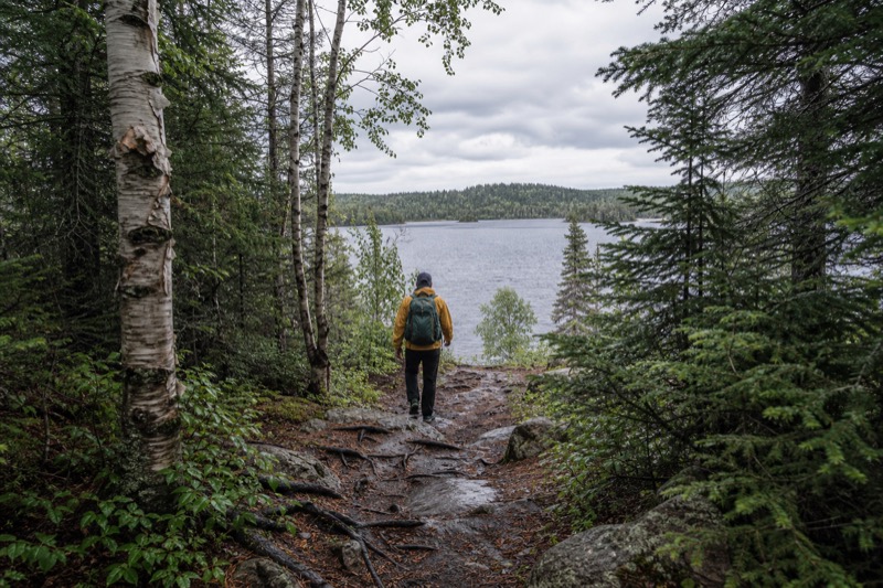 Forest overlook above an inland lake along the Gunflint Trail corridor