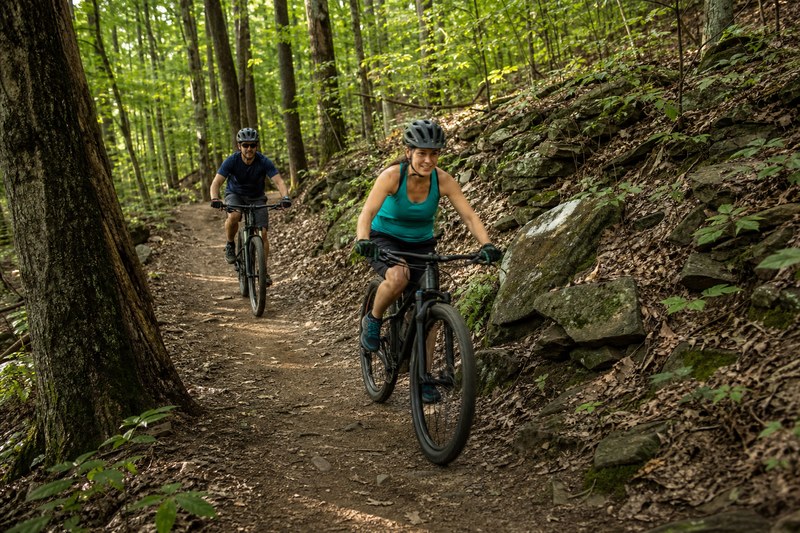 Mountain bikes on a shaded Paris Mountain forest trail