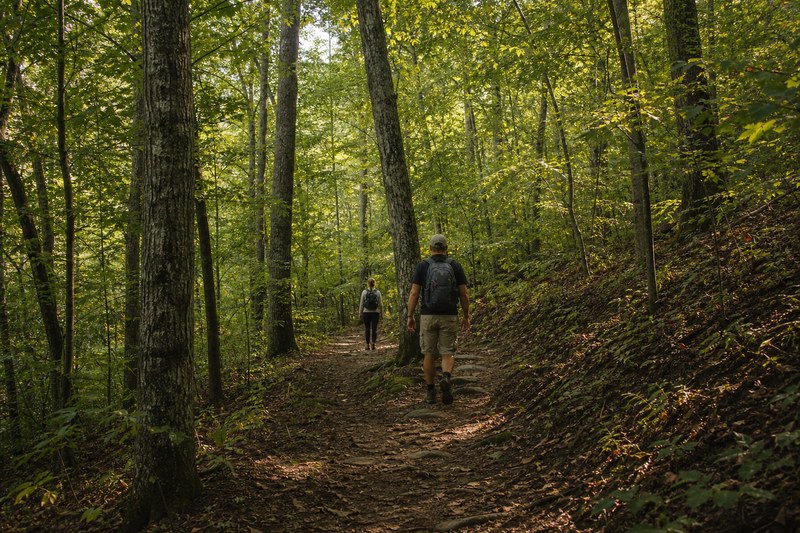 Hikers on a wooded Paris Mountain trail near Greenville