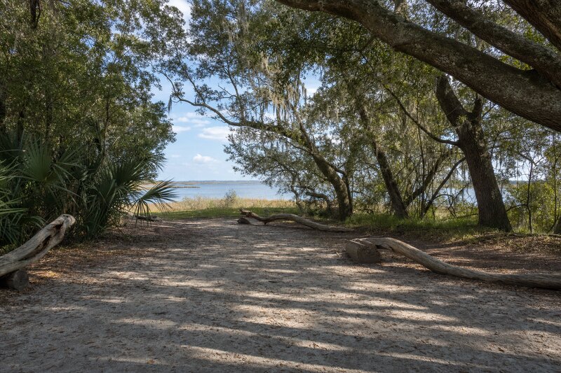 Maritime forest opening toward the water on Hilton Head's north end