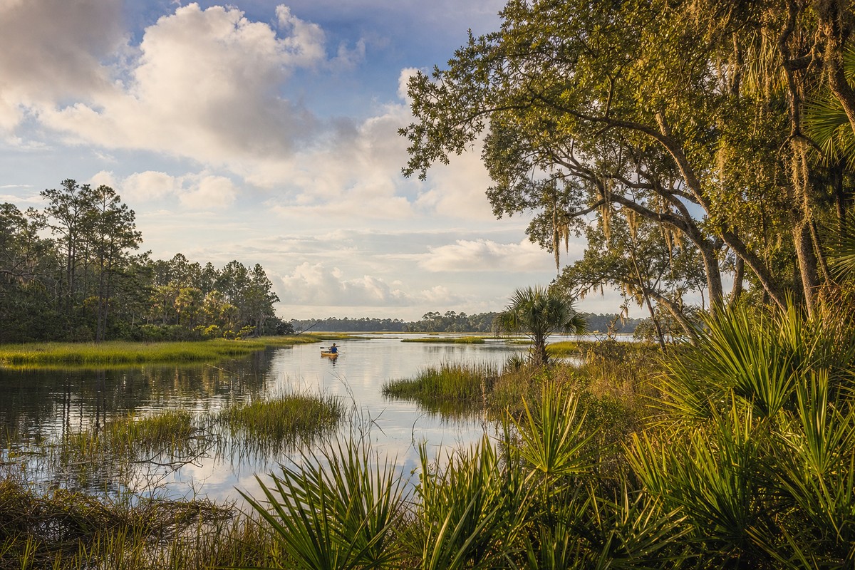 Timucuan tidal marsh and maritime forest