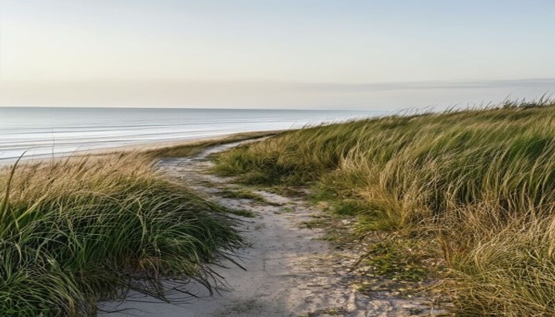 Parsons Beach Kennebunk