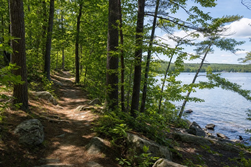 Contextual wooded shoreline trail beside Lake Winnisquam
