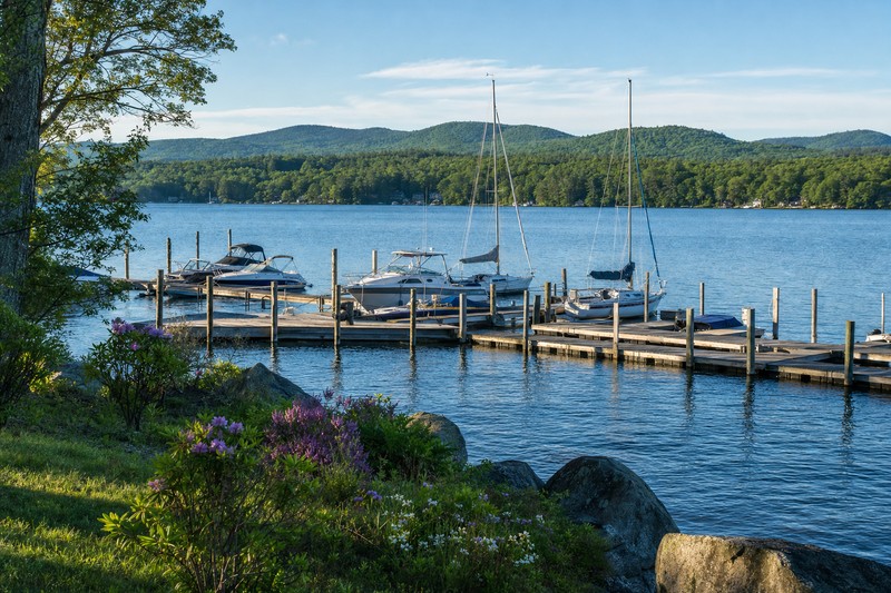 Contextual marina and wooded lakeshore in the Laconia area