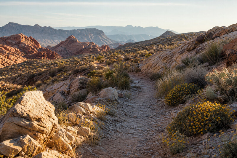 Desert trail above Lake Mead