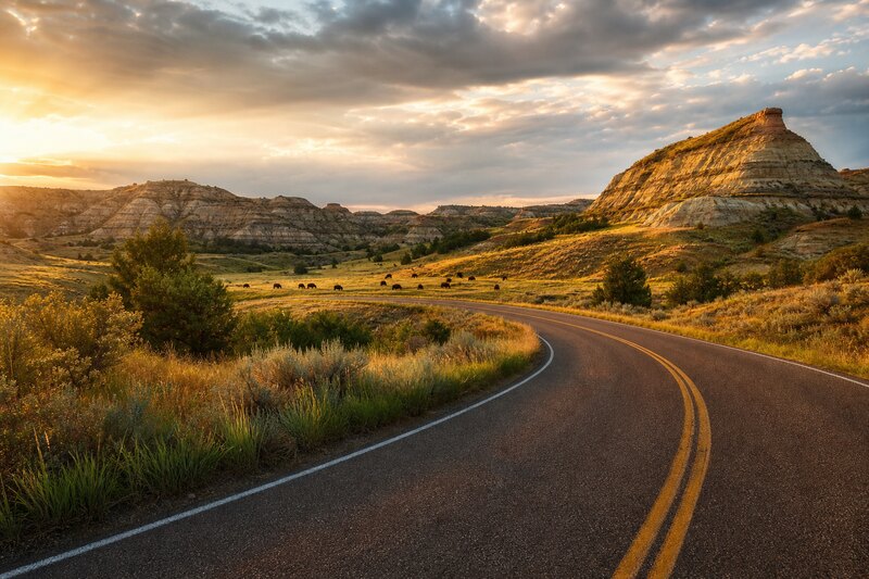 Theodore Roosevelt National Park