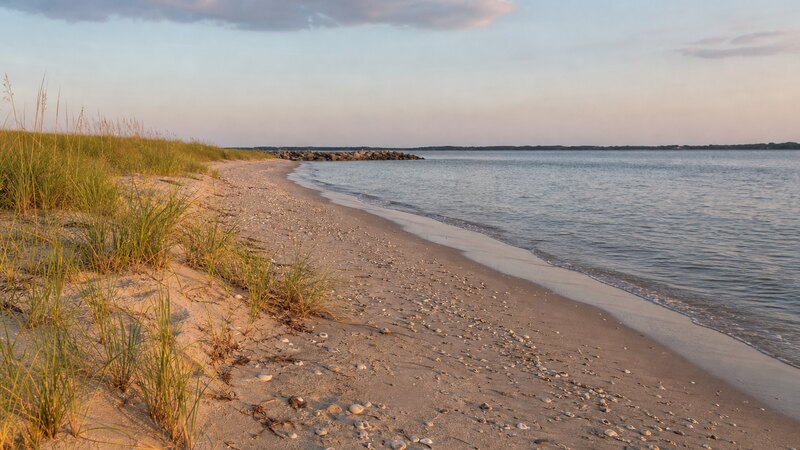 Delaware Bay beach near Milford