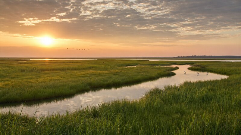 Mispillion River & Prime Hook