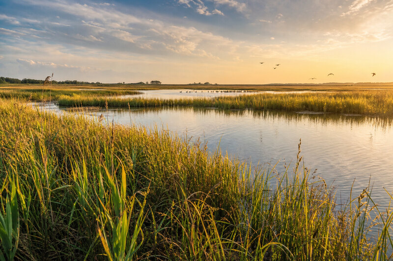 Prime Hook marsh near Milford Delaware