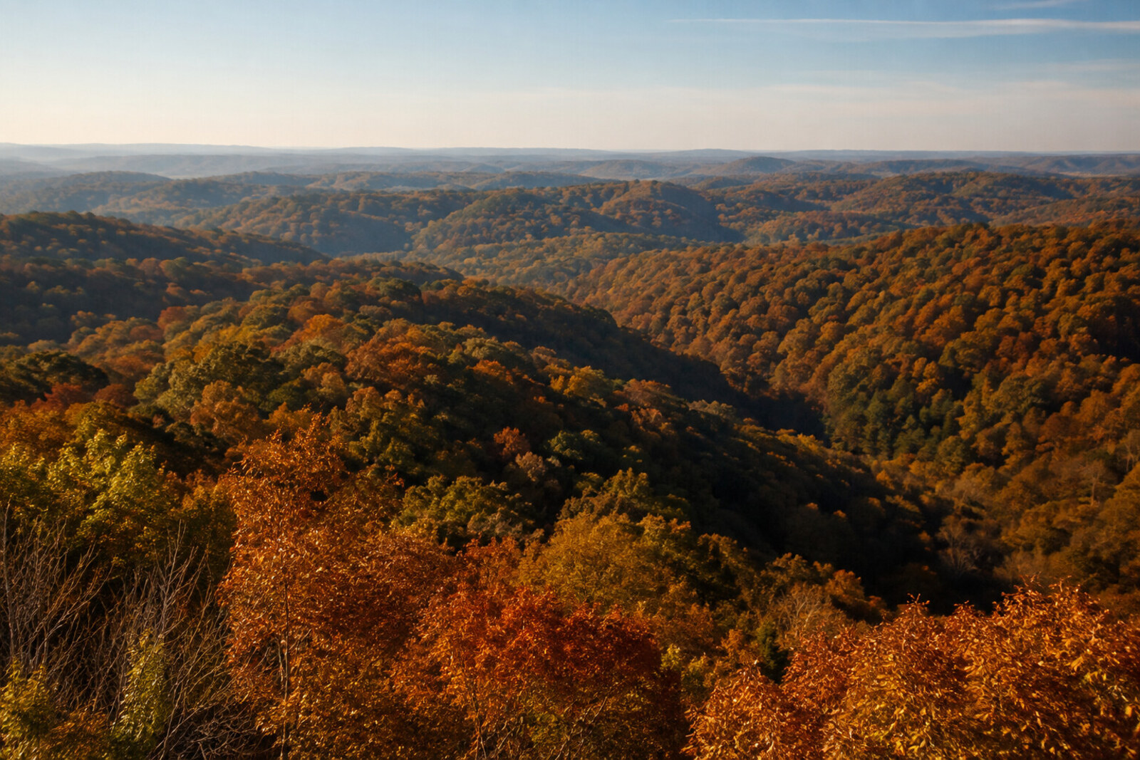 Forested overlook at Brown County State Park