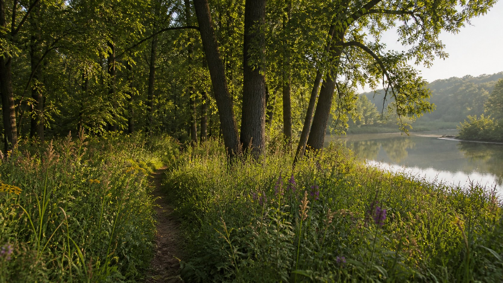 Wooded trail at Flandrau State Park near New Ulm