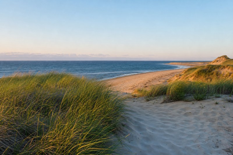Outer Cape dunes and ocean near Provincetown