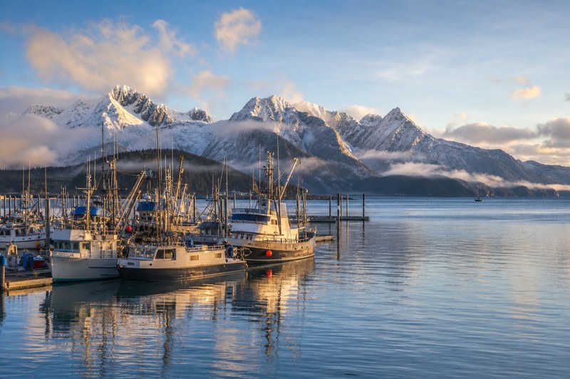 Seward Alaska harbor in morning light