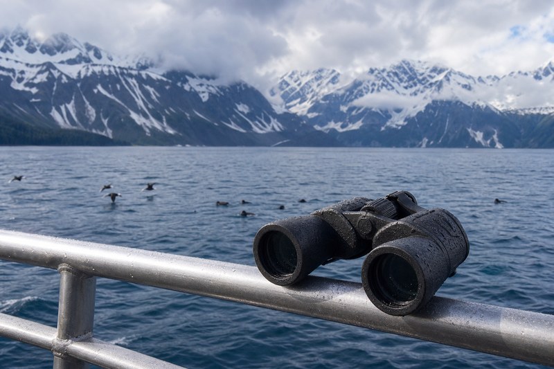 Wildlife cruise deck on Resurrection Bay near Seward