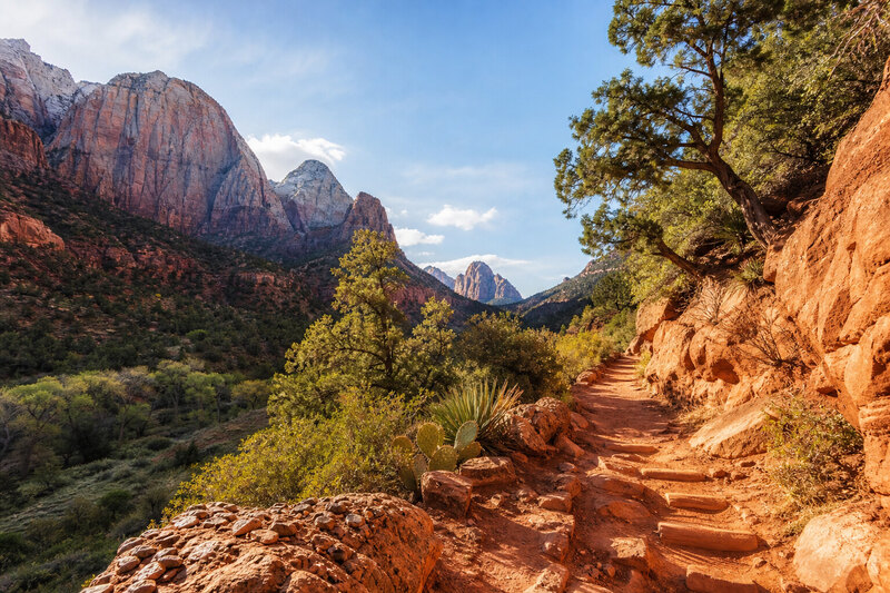 Springdale red-rock hiking scene near Zion