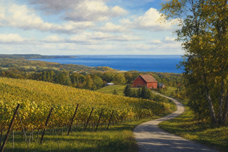 Vineyard landscape on Leelanau Peninsula