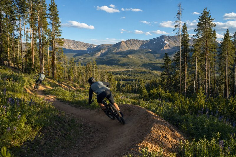 Contextual illustration of mountain bikers on Fraser Valley singletrack